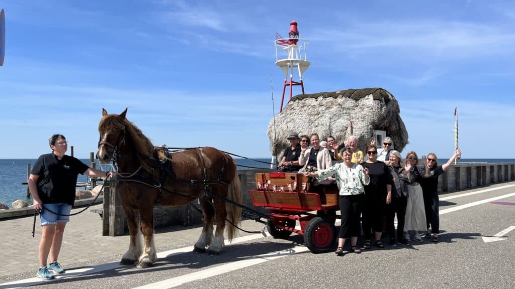 Kvindernes Oe Laesoe. Udviklingsprojekt stoettet af midler fra LAG puljen.