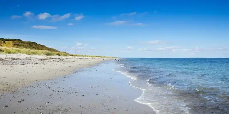 825cfa_641bbae618d240d89636532deaa8d3cb~mv2