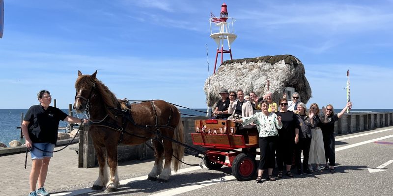 Kvindernes Oe Laesoe. Udviklingsprojekt stoettet af midler fra LAG puljen.